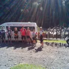 Business 1 image MOTU TRAILS HIRE AND SHUTTLE Walking in Opotiki BOP