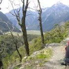 Business 1 image NATURALLY NEW ZEALAND HOLIDAYS Wineries & Vineyards in Darfield Area CAN