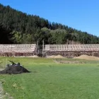 Business 1 image NEST ARCHITECTURAL DESIGN Renovations in Feilding MWT