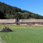 Business 19 image NEST ARCHITECTURAL DESIGN Renovations in Feilding MWT