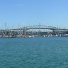 Business 6 image NEW ZEALAND FISHING SAFARIS LTD Tours & Sightseeing in Auckland City AUK