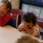 Business 2 image NGAHAURANGA TE KOHANGA REO Child Care & Education in Wellington City WGN