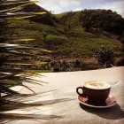 Business 3 image NIKAU CAVE & CAFE Tours & Sightseeing in Tuakau AUK
