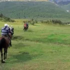 Business 3 image NZ VAN LINES GISBORNE MOVING COMPANY Transportation Services in Gisborne GIS