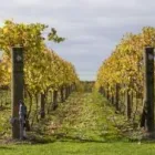 Business 4 image NZ VAN LINES GISBORNE MOVING COMPANY Transportation Services in Gisborne GIS