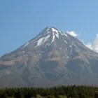 Business 3 image NZ VAN LINES NEW PLYMOUTH MOVING COMPANY Transportation Services in New Plymouth TKI