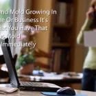 Business 2 image ONLINE VIDEOS Wellington Video Marketing company in Wellington AUK