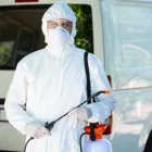 Business 1 image PEST CONTROL OAMARU Pest Control in Oamaru OTA