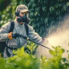 Business 2 image PESTCONTROLCHRISTCHURCH.CO.NZ Pest Control in Christchurch CAN