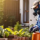 Business 1 image PESTCONTROLNAPIER.CO.NZ Pest Control in Napier HKB