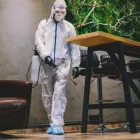 Business 1 image PESTCONTROLNORTHLAND Pest Control in Kerikeri NTL