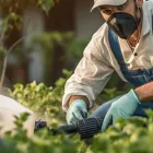 Business 1 image PESTCONTROLWANAKA.CO.NZ Pest Control in Wanaka OTA