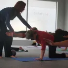 Business 7 image PILATES AT HOME Pilates in Masterton WRA