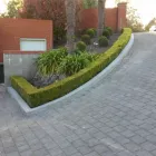 Business 1 image PJ CONTRACTING LTD Paving in Christchurch CAN