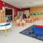 Business 4 image POLYFLOR Wood Look Vinyl Flooring in Auckland NTL