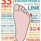 Business 8 image PONSONBY PODIATRY LTD Podiatrists in Auckland City AUK