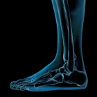 Business 8 image PONSONBY PODIATRY LTD Podiatrists in Auckland City AUK