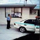 Business 3 image PROWLER SECURITY LTD Security Systems in Tauranga BOP