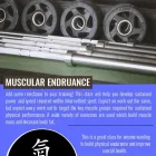 Business 3 image QI HEALTH AND FITNESS Welcome Bay in Tauranga BOP