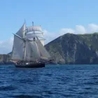 Business 6 image R TUCKER THOMPSON SAIL TRAINING TRUST Tours & Sightseeing in Paihia NTL