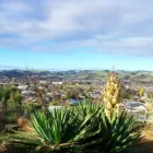 Business 2 image RESERVATION BED AND BREAKFAST Sleep in Gore STL