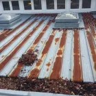 Business 2 image ROOF TREATMENTS LTD X Rust-Remover in Wellington AUK