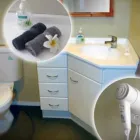 Business 4 image ROTORUA CITY HOMESTAY Bed And Breakfast in Rotorua BOP