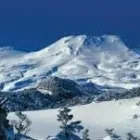 Business 3 image RUAPEHU MOUNTAIN MOTEL AND LODGE Ski Fields & Services in Taupo Area BOP