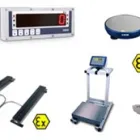 Business 10 image SCALETEC LTD Scales & Weighing Machines in Palmerston North MWT