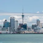 Business 1 image SEO AUCKLAND CHAP SEO New Zealand in Greenhithe AUK