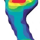 Business 5 image SHORE ORTHOTICS Podiatrists in Auckland City AUK