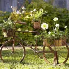 Business 27 image SOULSCAPE Landscaping in Auckland NTL