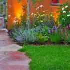 Business 29 image SOULSCAPE Landscaping in Auckland NTL