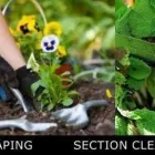 Business 34 image SOULSCAPE Landscaping in Auckland NTL