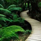 Business 36 image SOULSCAPE Landscaping in Auckland NTL