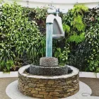 Business 46 image SOULSCAPE Landscaping in Auckland NTL