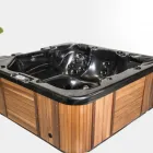 Business 11 image SPA FAMILY Swimming Pools & Spas in Auckland City AUK