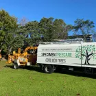 Business 4 image SPECIMEN TREECARE LTD Tree Services in Auckland City AUK