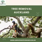 Business 1 image SPECIMEN TREECARE LTD Tree Services in Auckalnd AUK