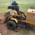 Business 8 image SPECIMEN TREECARE LTD Tree Services in Auckland City AUK