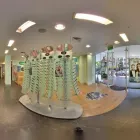 Business 2 image SPECSAVERS OPTOMETRISTS - AUCKLAND CBD Sunglasses Store in Auckland NTL