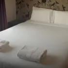 Business 4 image STAG PARK Business Park in Taupo WKO