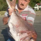 Business 3 image STEVE'S FISHING SHOP Sporting Goods in Wellington City WGN