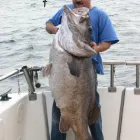 Business 4 image STEVE'S FISHING SHOP Sporting Goods in Wellington City WGN