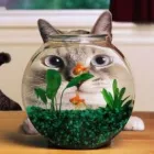 Business 5 image SUE WOOD Weight Reduction in Waitakere AUK