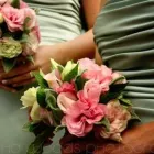 Business 4 image TABITHA WOODS PHOTOGRAPHY Wellington-Wedding-Photographer in Wellington AUK