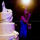 Business 5 image TABITHA WOODS PHOTOGRAPHY Wellington-Wedding-Photographer in Wellington AUK