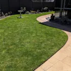 Business 1 image TAURANGA LAWN CHIEF LIMITED Garden Maintenance in Tauranga BOP