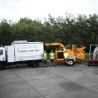 Business 2 image TAURANGA TREE SERVICES LTD Tree Services in Tauranga BOP