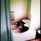 Business 6 image TE AWAMUTU GLASS Windows in Te Awamutu WKO